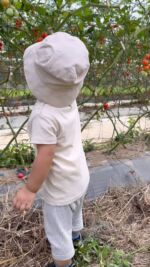 Nicofarm